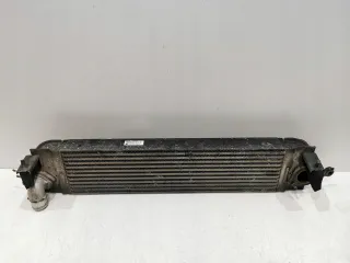 14461-JG70B,14461JG70B,P3578002 Интеркулер Nissan X-Trail T30 Арт AL15205690872, вид 4