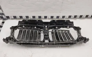 51137497230 Решетка радиатора BMW X3 G01 Арт AL097803, вид 6