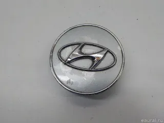 529603K250 Hyundai-Kia Колпак колесный Hyundai Santa FE 4 (TM) restailing Арт E31251998, вид 2