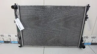 25310L0600 Hyundai-Kia Радиатор основной Hyundai Sonata (DN8) Арт E70744781, вид 1
