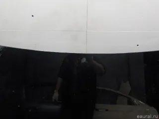 LR117302 Land Rover Капот Land Rover Evoque 2 Арт E52560210, вид 5