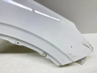 5035092100C15 крыло Geely Coolray Арт VZ237421, вид 2