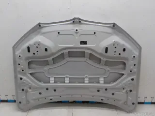 41007463772 BMW Капот BMW X1 F48 Арт E41175088, вид 13
