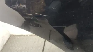 8R0833052B Дверь задняя правая синяя Audi Q5 1 Арт 20083662, вид 2