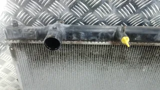 1640031370 Радиатор системы охлаждения Lexus GS 3 Арт TNP06KA01, вид 6