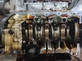 1000150XEB05 Great Wall Двигатель Haval Jolion Арт E23755845, вид 14