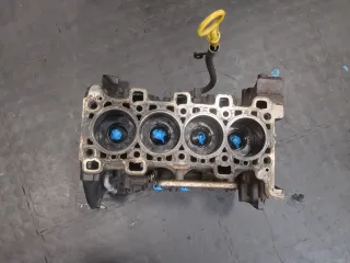  Блок цилиндров Renault Scenic 3 Арт 20366778, вид 1