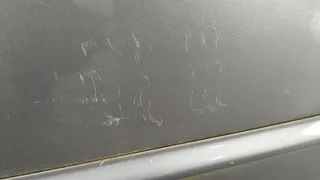 41517038092,7038092 Дверь передняя правая серая BMW 3 E46 Арт 20385888, вид 4