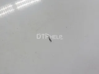 692003Z310 Крышка багажника Hyundai i40  Арт AM52417491, вид 10