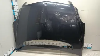 A2518800157 Mercedes Benz Капот Mercedes R W251 Арт E103107517, вид 1