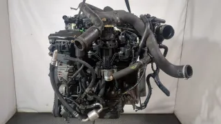 9M5Q6P073AA,9M5Q6L070AA Защита ремня ГРМ (кожух) Ford S-Max 1 restailing Арт 11306391, вид 2