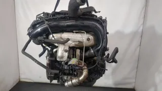 9M5Q6P073AA,9M5Q6L070AA Защита ремня ГРМ (кожух) Ford S-Max 1 restailing Арт 11306391, вид 4