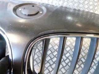  Бампер передний BMW Z4 E89 Арт e1051788, вид 6