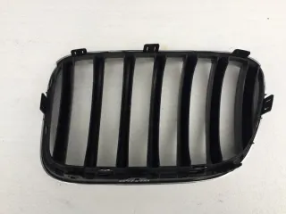 2010-2014 Решетка радиатора BMW X3 F25 Арт e1418630, вид 2