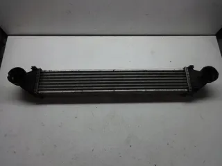 A1695000000 Интеркулер Mercedes A W169 Арт e3162406, вид 1