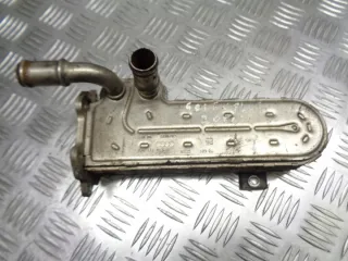 036131513 Радиатор EGR Volkswagen Golf 5 Арт e3211294, вид 1
