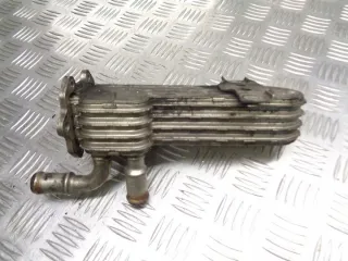 036131513 Радиатор EGR Volkswagen Golf 5 Арт e3211294, вид 2