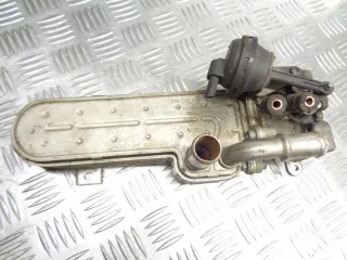 038131513AD Радиатор EGR Volkswagen Golf 5 Арт e3211296, вид 1