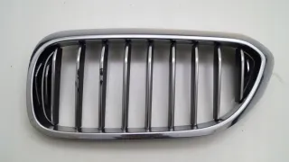 51137383519 Решетка радиатора BMW 5 G30/G31 Арт e4551052, вид 1