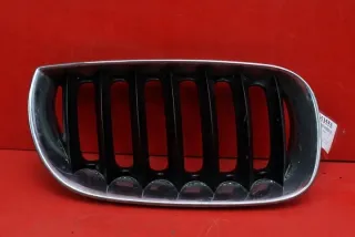 03402914 Решетка радиатора BMW X3 E83 Арт e5187930, вид 1