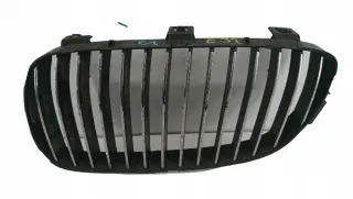 7157277 Решетка радиатора BMW 3 E90/E91/E92/E93 Арт e5229289, вид 1