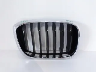 8091726 17-21 Решетка радиатора BMW X3 G01 Арт e5659443, вид 1