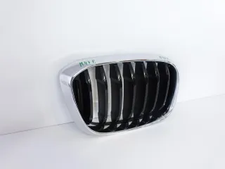 8091726 17-21 Решетка радиатора BMW X3 G01 Арт e5659443, вид 2