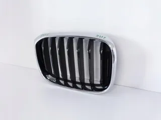 8091726 17-21 Решетка радиатора BMW X3 G01 Арт e5659443, вид 4