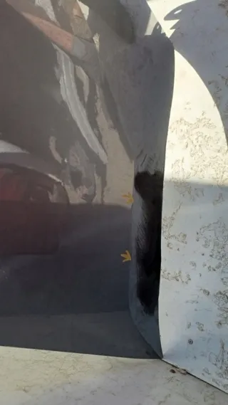 51128069728 Бампер задний BMW 6 G32 Арт e5823660, вид 4