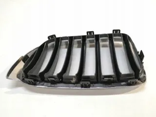 51117338572 Решетка радиатора BMW X3 F25 Арт e6401374, вид 6