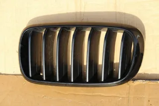 7316075 7316057 7316053 Решетка радиатора BMW X5 G05  Арт e6462831, вид 1