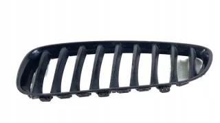 40502054 Решетка радиатора BMW Z4 E89 Арт e6828779, вид 1