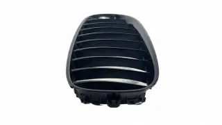 40502054 Решетка радиатора BMW Z4 E89 Арт e6828779, вид 2