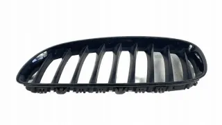 40502054 Решетка радиатора BMW Z4 E89 Арт e6828779, вид 3