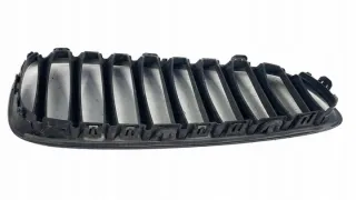40502054 Решетка радиатора BMW Z4 E89 Арт e6828779, вид 6
