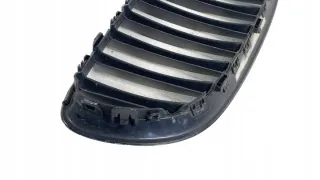40502054 Решетка радиатора BMW Z4 E89 Арт e6828779, вид 7