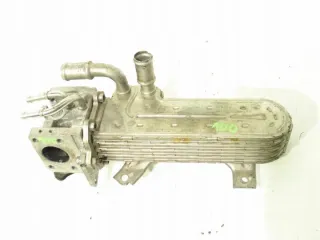 038131513AD Радиатор EGR Volkswagen Golf 5 Арт e7416990, вид 1