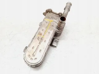 038131513AD Радиатор EGR Volkswagen Golf 5 Арт e7493588, вид 2