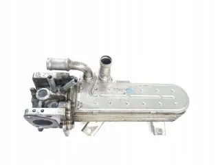 038131513D Радиатор EGR Volkswagen Golf 4 Арт e7657260, вид 2
