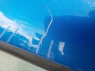 DRZLT378 Дверь задняя левая Suzuki Swift 3 Арт e7661364, вид 9
