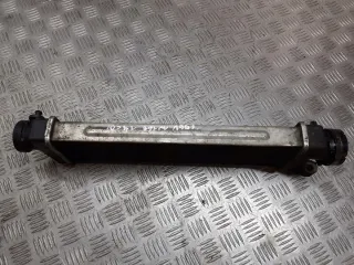 A1685000000 Интеркулер Mercedes A W168 Арт e7708339, вид 2