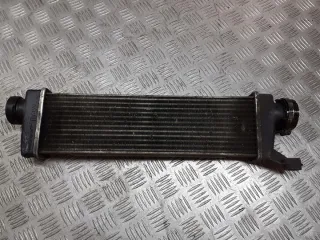 A1685000000 Интеркулер Mercedes A W168 Арт e7708339, вид 3