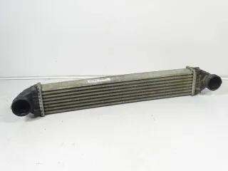 A1695000000 Интеркулер Mercedes A W169 Арт e7964884, вид 1