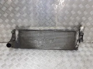 8200115540 Интеркулер Renault Scenic 2 Арт e7980426, вид 1
