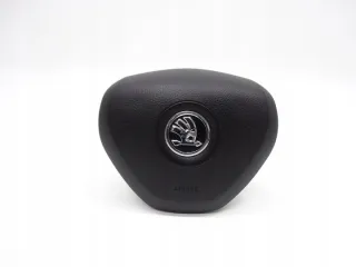 5E0880201 Подушка безопасности Skoda Fabia 3 Арт e8068577, вид 2