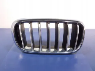 7316076 Решетка радиатора BMW X6 F16 Арт e8120044, вид 1