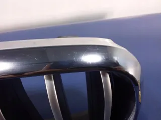7316076 Решетка радиатора BMW X6 F16 Арт e8120044, вид 3