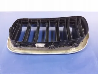 7316076 Решетка радиатора BMW X6 F16 Арт e8120044, вид 4
