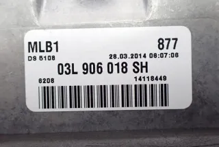 03L906018SH 0281019898 Блок управления двигателем Audi Q5 1 Арт e8131813, вид 3