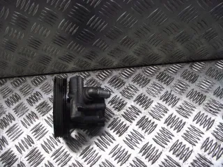  Насос гидроусилителя руля Dacia Duster 1 Арт e8364455, вид 1